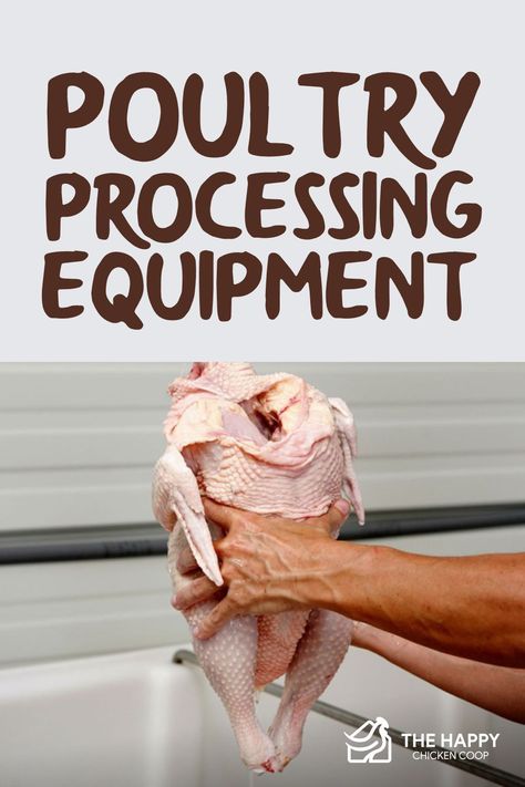 Raising Meat Chickens, Chicken Processing, Chicken Supplies, Meat Birds, Raising Farm Animals, Backyard Chicken Farming, Backyard Farming, Processed Meat, Chicken Farm