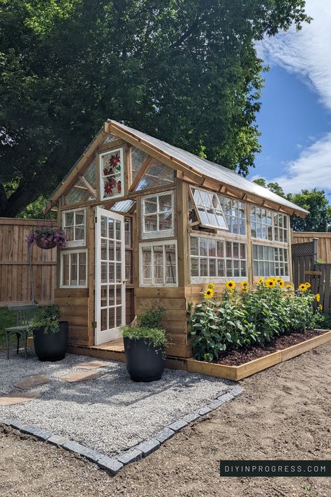 Backyard greenhouse featuring reclaimed windows, pea gravel entrance with stepping stones, and stained glass window. One one side of the greenhouse is a flower bed with cheerful sunflowers and the other side has hydrangeas. Old Doors Greenhouse, Wood Frame Greenhouse Ideas, Small Old Window Greenhouse, Green House Old Windows Diy, Greenhouse Of Windows, Greenhouse Patio Ideas, Greenhouse Reclaimed Windows, Greenhouse Made With Old Windows, Greenhouse Made From Windows