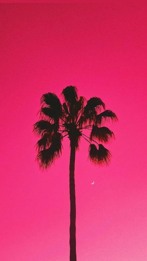 Iphone Wallpaper Photos, Summer Wallpaper, Computer Wallpaper, Sky Aesthetic, Wallpaper Iphone Cute, Aesthetic Backgrounds, Aesthetic Iphone Wallpaper, Pretty Art, Pink Aesthetic