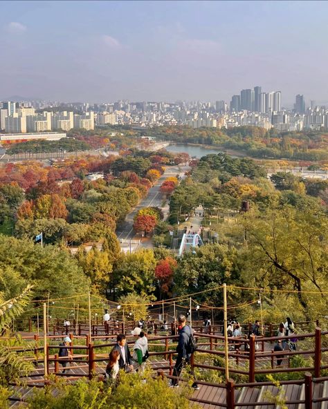 Haneul Park in Seoul, autumn vibes Korean Park Place Aesthetic, Seoul Park, Bukchon Hanok Village, Nami Island, South Korea Travel, Japan Trip, Japan Aesthetic, Korea Travel, Cool Cafe