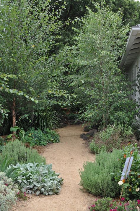 Landscaping Under Deck, Beach House Landscaping, Tropical Backyard Landscaping, Vege Garden, Brick Garden Edging, Australian Garden Design, Under Deck, Garden Landscaping Ideas, Bush Garden