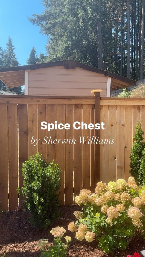 Sally Vlas - Textured Art, DIY & Home Design | Details ⬇️ We stained our fence with a semi-transparent stain - Spice Chest by @sherwinwilliams It’s a soft golden brown and almost more… | Instagram Sherwin Williams Fence Stain Colors, Painting Wood Fence, Fence Stain Ideas, Fence Color Ideas, Fence Stain Colors Ideas, Stained Wood Fence, Fence Stain Colors, Cedar Fence Stain, Textured Art Diy