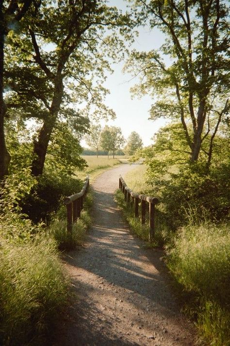 Kodak Gold 200 35mm, Kodak Gold 200 Film Photos, Film Photography Landscape, Nature Film Photography, Kodak Gold Film, Kodak Gold 200 Film, Gold 200 Film, Travel Film Photography, Kodak Pictures