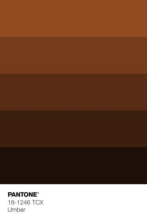 Pantone Metallic Shimmers, Brown Pantone, Pantone Colour Palettes, Phone Decor, Brown Color Palette, Fall Color Palette, Rich Color Palette, Color Palette Design, Character Reference