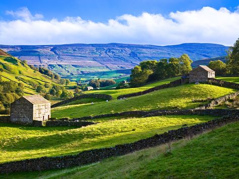 The Rolling Hills Of Yorkshire… 11 Photos That Will Make You Want To Visit Yorkshire! Yorkshire Dales National Park, Sunday Photos, Ireland Scotland, Lovely Photo, Yorkshire Dales, Yorkshire England, England And Scotland, Rolling Hills, English Countryside