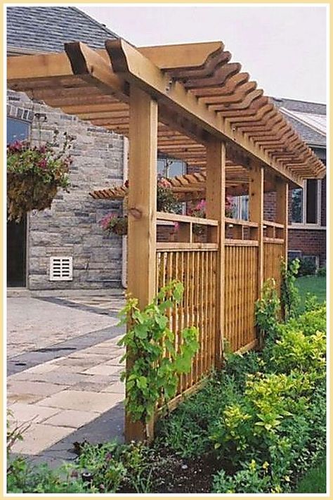 Pergolas - Be Awesome - Stop Looking! Get all your needs met from one of the leading online retailers. Privacy Fence Landscaping, Backyard Privacy, Pergola Design, Garden Screening, Backyard Pergola, Privacy Screen Outdoor, Outdoor Privacy, Fence Landscaping, Have Inspiration