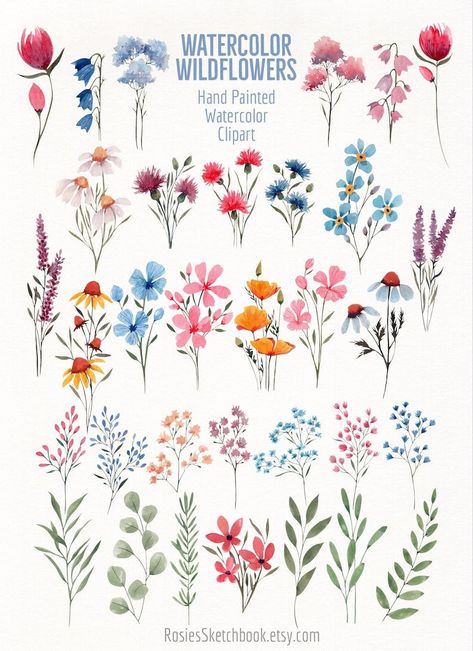 Hand Painted Wildflowers Watercolor Clipart Floral Elements - Etsy UK Watercolor Flower Sketch, Painting Wildflowers Acrylic Easy, Wild Flowers Watercolor Paintings, Simple Flowers Illustration, Wild Flower Watercolor Paintings, Watercolor Wildflowers Tutorial, Watercolor Wildflowers Simple, Wildflower Watercolor Painting, Acrylic Wildflowers