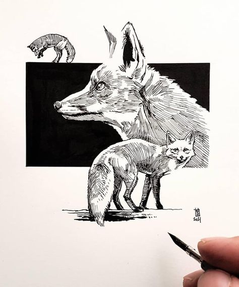 Inktober Sketches, Stylo Art, Word Tattoo Ideas, Word Tattoo, Fox Drawing, Black And White Art Drawing, Sketch Inspiration, Fox Art, With Meaning