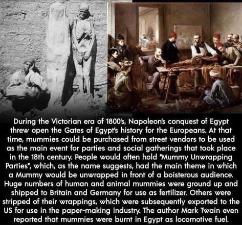 Historical Facts Creepy, Urban Legends Stories, Learning History, Creepy History, Studying Memes, Egyptian Mummies, Street Vendors, Creepy Facts, Facts You Didnt Know