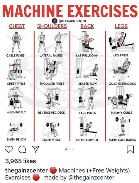 Weight Machine Workout, Machine Exercises, Gym Workouts Machines, Back And Shoulder Workout, Workout Gym Routine, Gym Workout Guide, Workout Program Gym, Workout Plan For Men, Gym Workout Plan For Women