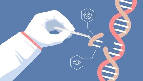 What is gene editing and CRISPR-CAS9? Biotechnology Art, Synthetic Biology, Gene Editing, Dna Art, Human Dna, Hidden Agenda, Biology Art, Science Illustration, Gene Therapy