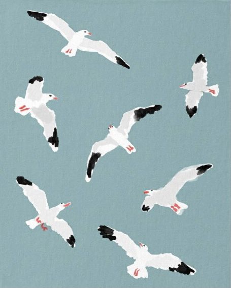 Seagull Bird Painting Hand Drawn illustration printed products gifts - Turquoise Background Seagulls In Flight Paintings, Seagulls Flying Painting, Seagull Painting Easy, Drawing Seagulls, Seagulls Drawing, Seagulls Illustration, Seagulls Watercolor, Painted Seagulls, Seagulls Painting