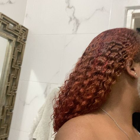 Dyed Hair Colors, Ginger Hairstyles, Natural Hair Colors, Hair Colour Inspo, Blk Women, Natural Hair Goals, Twists Braids, Ginger Hair Color, Curls Hairstyles