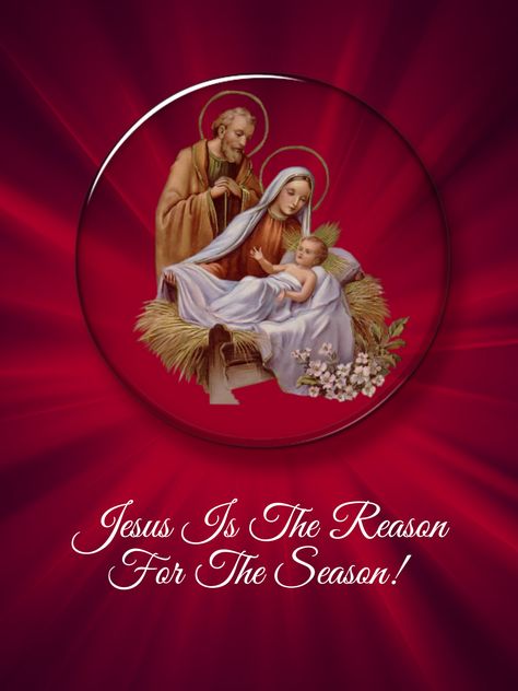 Jesus Is The Reason For The Season! Jesus Is The Reason For The Season Sign, Jesus Is The Reason For The Season, Animated Christmas Card, Catholic Christmas, Christmas Pics, Jesus Photo, Jesus Resurrection, Animated Christmas, Christmas Pins