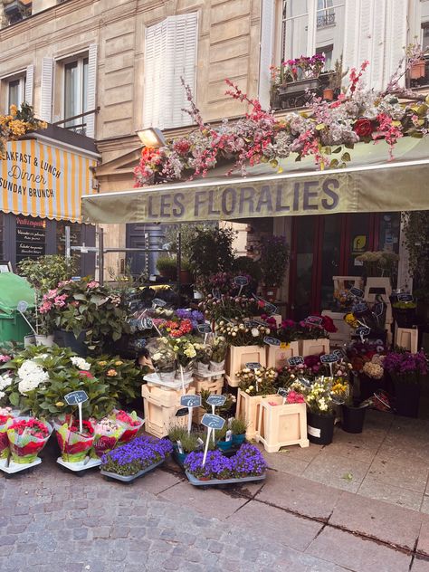 Flower shop in paris Shop In Paris, Flowers Shop, Paris Shopping, Flower Market, Photo Reference, Flower Shop, My Dream, Florist, My Pictures