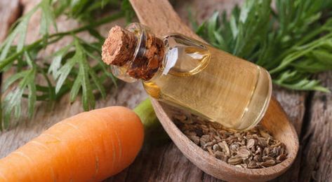 Homemade Face Serum for Glowing Skin | How to Make DIY Face Serum – VedaOils Frankincense Essential Oil Uses, Carrot Seed Essential Oil, How To Plant Carrots, Carrot Benefits, Carrots Oil, Oil For Dry Skin, Daucus Carota, Carrot Seed Oil, Japanese Skincare