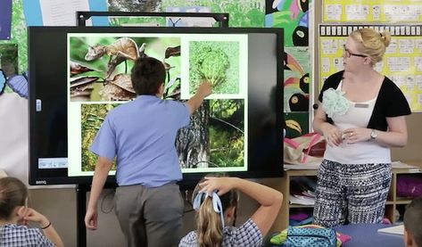 20 ways to use an ActivPanel Smart Board Activities, Early Childhood Education Resources, Smart Board Lessons, Education Apps, Promethean Board, High School Science Teacher, Amazing Tools, Stem Lab, Secondary Science