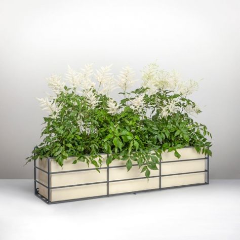 Contemporary window box with Astibe Balcony Planter Boxes, Door Canopy Porch, Metal Window Boxes, Contemporary Window, Window Box Plants, House Awnings, Window Box Garden, Contemporary Windows, Square Lattice