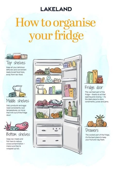 Fridge Organization Hacks, Fridge Organisation, First Apartment Checklist, Apartment Checklist, House Organisation, Kitchen Organisation, Refrigerator Organization, Fridge Organization, Household Cleaning Tips