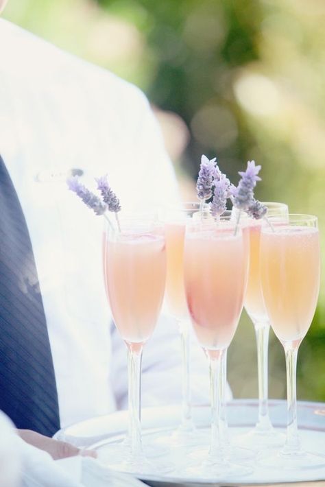 Lavender Bellinis look like a perfect summertime cocktail! Bellini Cocktail Recipes, Bellini Cocktail, Summertime Cocktail, Gin Sour, Citrus Cocktails, Vodka Lemonade, Peach Schnapps, Tequila Sunrise, Champagne Cocktail