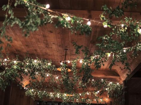 Greenery Ceiling With Fairy Lights, Ivy And Fairy Lights Ceiling, Cottagecore Ceiling Decor, Enchanted Forest Wedding Reception Indoor, Hanging Vines Wedding Decor, Foliage Table Centerpieces, Hanging Vines With Lights, Indoor Earthy Wedding, Forest Ceiling Decorations