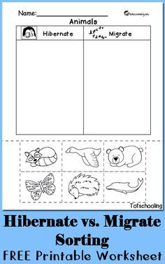 FREE worksheet to sort between animals who hibernate and migrate. Great science cut and paste activity for kindergarten and preschool. Hibernation Preschool Crafts, Hibernation Preschool Activities, Hibernation Crafts, Animal Sorting, Hibernation Preschool, Hibernation Activities, Sorting Worksheet, Animals That Hibernate, Winter Kindergarten