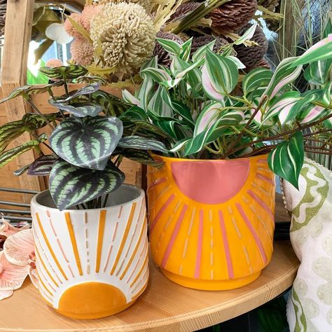 Nothing like adding a touch of sunshine to the home. Find our new Sunshine range at @iwantineedechuca 🌞 🏷 #sunshine #summer #sun #summerhomewares #summeryhomedecor Ceramic Pot Decoration, Sunshine Pottery Painting, Colourful Plant Pots, Plant Pot Designs Paint, Creative Plant Pots, Plant Pot Designs, Plant Pot Painting Ideas, Plant Pot Ceramic, Colorful Vibes