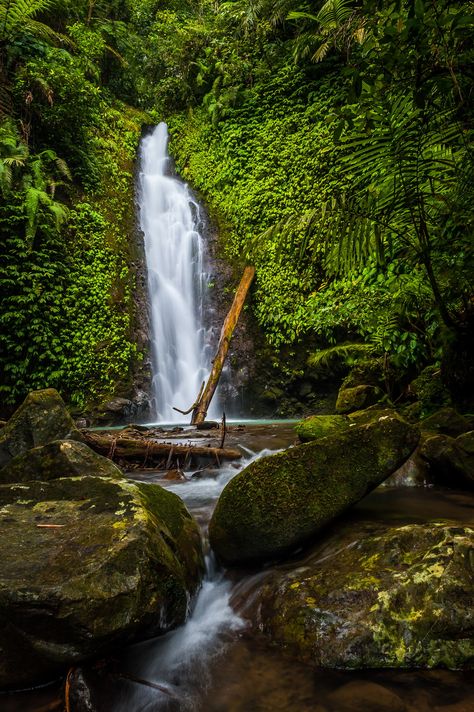 Philippines Geography, Bukidnon Philippines, Wallpaper Time, Northern Mindanao, Time Lapse Photo, Waterfall Wallpaper, Forest Waterfall, Waterfall Paintings, Falling Water