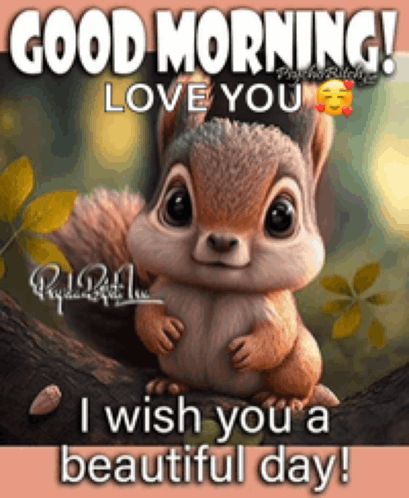 Click to view the GIF Good Morning Squirrel, Good Morning Luv, Good Morning Hugs, Good Morning Gifs Funny, Funny Good Morning Pics, Funny Good Morning Greetings, Cute Good Morning Pictures, Morning Meme, Happy Sayings