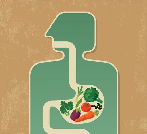 Microbiome Diet, Healthy Microbiome, Clear Thinking, Gut Bacteria, Leaky Gut, Healthy Digestion, Health Info, Digestive System, Digestive Health