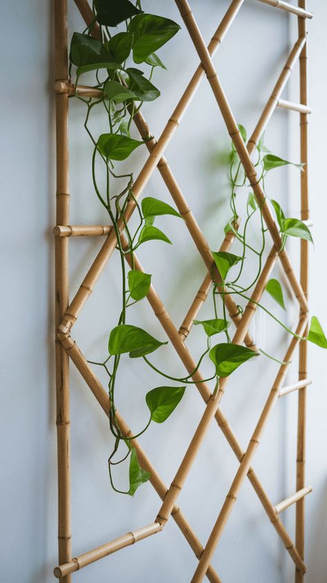 Help your climbing plants thrive with a bamboo trellis! This simple DIY adds height and support to your indoor garden. Ideal for ivy, pothos, and other climbers. Indoor Climbing Plants, Diy Bamboo, Plant Store, Bamboo Trellis, Macrame Planter, Indoor Climbing, Hanging Macrame, Climbing Plants, Painted Pots