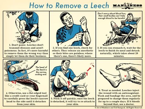 Art Of Manliness, Survival Life Hacks, Apocalypse Survival, Urban Survival, Survival Techniques, Survival Life, Homestead Survival, Emergency Prepping, Wilderness Survival