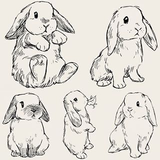 Photo Studies, Bev Johnson, Time Wasted, Rabbit Drawing, Couple Drawing, Art Drawing Sketch, Animal Drawings Sketches, Bunny Drawing, 강아지 그림