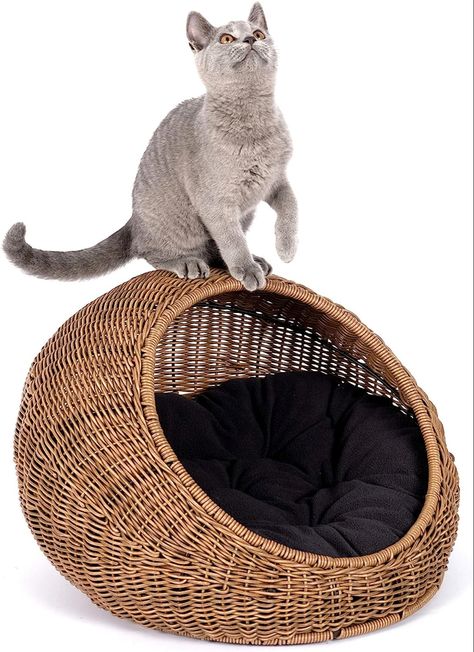 Cat beds Cat Hideaway, Wicker Cat Bed, Modern Cat Bed, Basket Dog Bed, Cat Basket, Wooden Rabbit, Cat Scratchers, Cat Cave, Indoor Cats