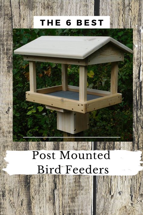 Top 6 bird feeders for mounting on your 4x4 post. Create your own beautiful feeding station with a post mounted feeder.    #birdfeeders #platformfeeders #diybirdfeeder Bird Feeder For Window, Diy Wood Bird Feeder Woodworking Plans, Bird Feeders Diy Wooden Plans, Platform Bird Feeder With Roof, Post Bird Feeder, How To Build Bird Feeders, Free Standing Bird Feeders Outdoor, Diy Birdfeeders Wooden, Build Bird Feeder