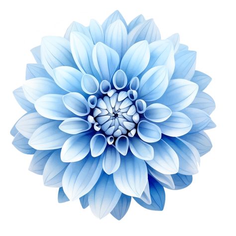 Dahlia light blue flower Generative AI Blue Dahlia Tattoo, Dahlia Background Iphone, Light Blue Flowers Drawing, Dahlia Graphic Design, Blue Dahlia Flower, Light Blue Flowers, Blue Flower, Free Png, Dahlia