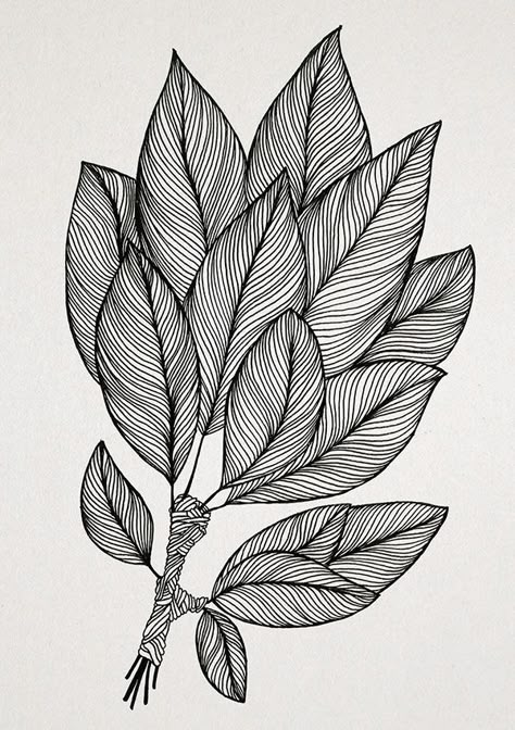 Leaves | Dindondesigns Zantangle Art, Fineliner Art, Doddle Art, Line Art Flowers, Drawing Step By Step, Pen Art Drawings, Zen Doodle Art, Flower Art Drawing, Drawing Step