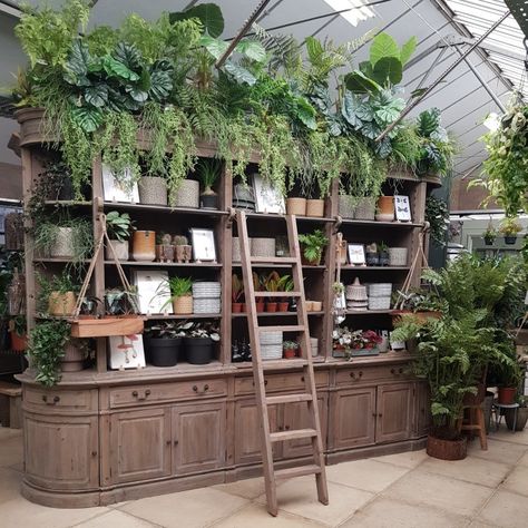 Retail Plant Display, Plant Merchandising, Garden Shop Display, Visual Merchandising Display, Spotted Orchid, Interior Gardens, Greenhouse Cafe, Flower Shop Interiors, Greenhouse Design