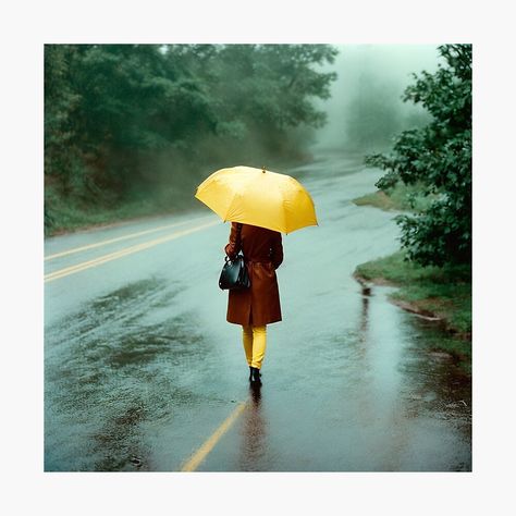 Girl With Umbrella, Girl In Rain, Rain Pictures, Umbrella Girl, Yellow Umbrella, Yellow Raincoat, Umbrella Designs, Walking In The Rain, Pictures Of People