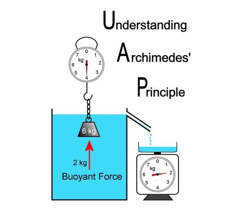 Archimedes' Principle Experiments and Buoyant Force - Owlcation Archimedes Principle, Newtons Laws Of Motion, Physics Lessons, Physics Concepts, Laws Of Physics, Physics Formulas, Swimmers Life, Science Crafts, Fluid Dynamics