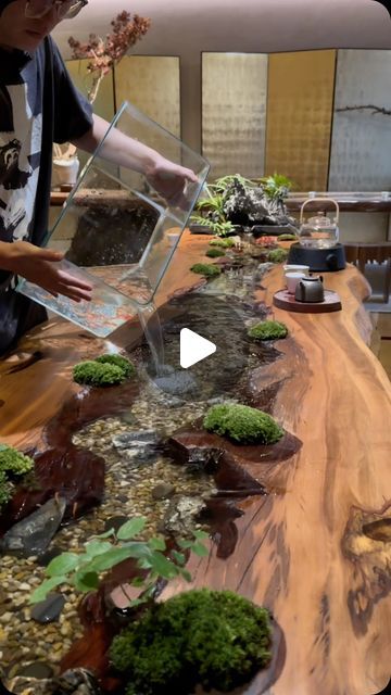 XimuTeahouse on Instagram: "Change the fish to a larger pond. This table has a filtration system for raising fish.#teatable #table #coffeetable #diningtable #fish #woodentable #desk #carpentry #fishculture #drinktea #tealife #tearoom #handmade" Raised Pond, Here Comes The Sun, Fish Pond, The Fish, Tea Table, Here Comes, Gardening Ideas, Tea Room, Wooden Tables