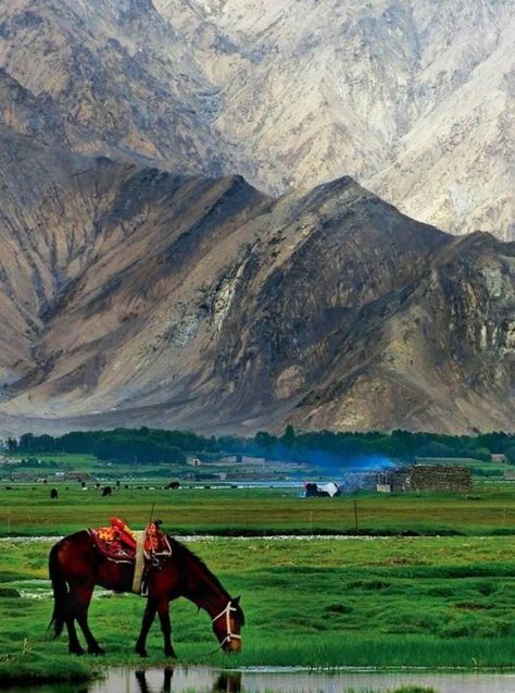 The  Pamir Mountains in Xinjiang province in China. Pamir Mountains, Hindu Kush, Xinjiang China, City Magazine, Urumqi, Silk Route, Travel Asia, Trade Center, Gap Year