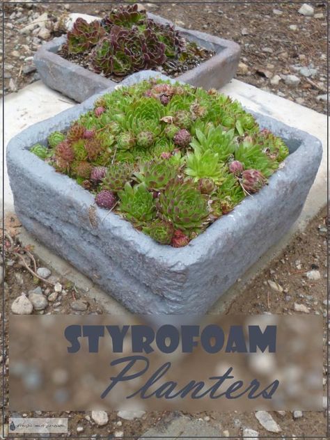 Styrofoam Planters - hand carved and painted to keep it out of the waste stream... Garden Art | Garden Plant Pots Styrofoam Recycling, Plaster Ideas, Desert Gardens, Frugal Gardening, Styrofoam Crafts, Mini Gardens, Rock Garden Plants, Cheap Backyard, Succulent Landscaping