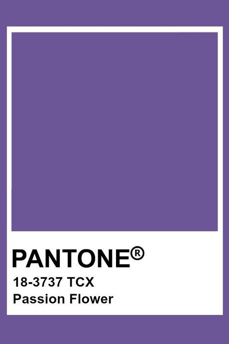 Dark Purple Pantone, Pantone Violet, Pantone Purple, Purple Pantone, Pantone Tcx, Pantone Color Chart, Pantone Swatches, Pantone Palette, Pantone Colour Palettes