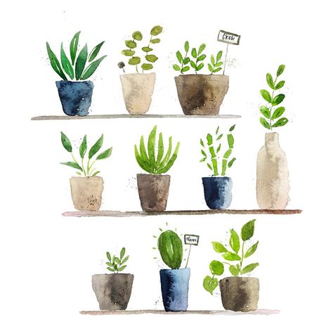 Plants Painting, Watercolor Succulents, Diy Watercolor Painting, Watercolour Inspiration, Watercolor Projects, Watercolor Plants, Watercolor Paintings Easy, Cactus Art, Watercolor Flower Art