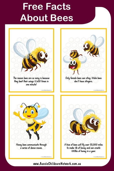 Bees Fact Posters have interesting facts about bees. These are great to use during group discussions on bees and to share with children. Bee Facts For Preschoolers, Childcare Experiences, Bee Library, Bee Facts For Kids, Facts About Bees, Fun Facts About Bees, Butterfly Lifecycle, Bees For Kids, Bee Project