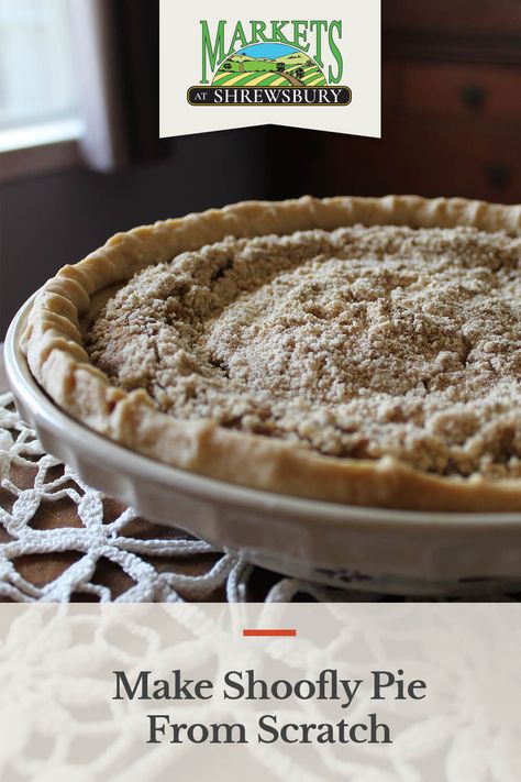 Shoofly Pie From Scratch Shoofly Pie Recipe, Shoo Fly Pie, Shoofly Pie, Pie From Scratch, Shoo Fly, Amish Recipes, Pie Pan, Fallen In Love, Crumb Topping