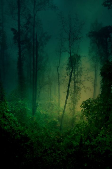 Likes | Tumblr Dnd Homebrew, Deep Forest, Enchanted Forest, Green Aesthetic, Green Light, Creative Writing, Painting Inspiration, Beautiful Nature, Beautiful Places