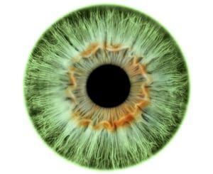 Iris Eye, Eye Texture, Eyes Artwork, Photos Of Eyes, Love Backgrounds, Green Eye, Science Photos, Spoken Words, Eye Photography