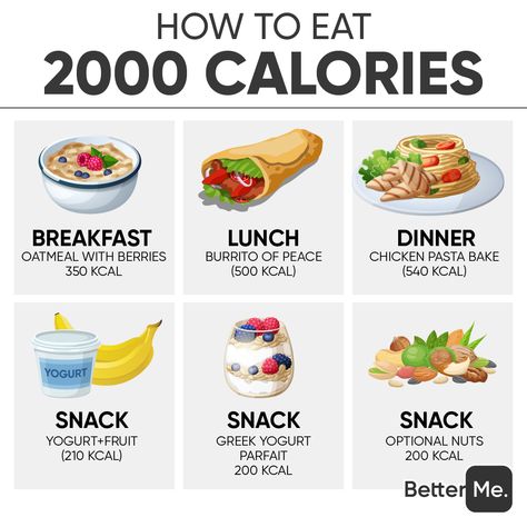 What Does 2000 Calories Look Like, 2000calorie Meal Plan, Under 2000 Calorie Meal Plan, Healthy Proportioned Meals, 2000 Calorie Vegan Meal Plan, 2 000 Calorie Meal Plan, 2200 Calorie Meal Plan For Women, 2500 Calorie Meal Plan For Women, 2800 Calorie Meal Plan